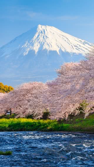 【232位】春の富士山|山のiPhone壁紙