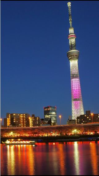 スカイツリーの夜景