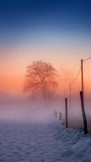 霧がかった雪道の先