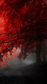 Red Tree