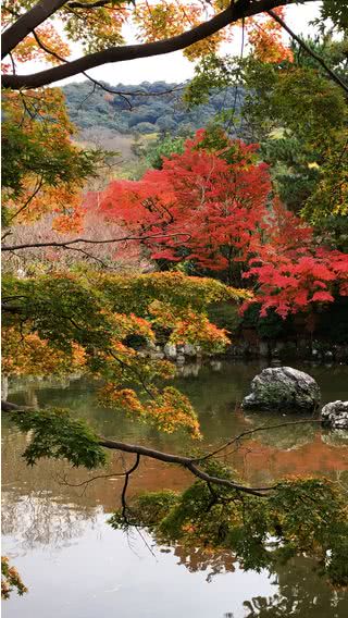 秋の京都