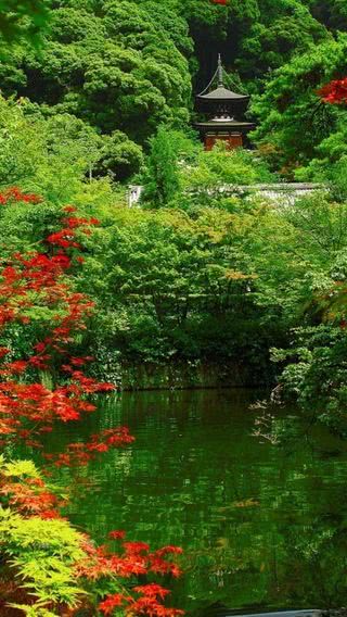 京都の日本庭園