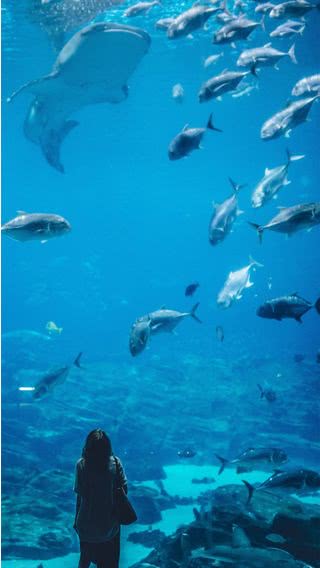 水族館