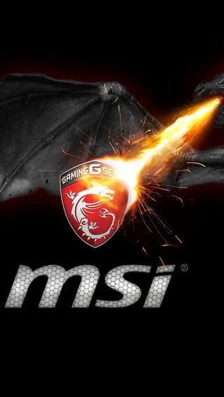 MSI