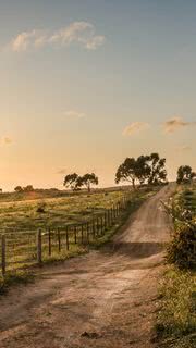 Nature Country View