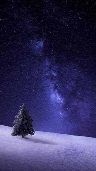 雪原の星空