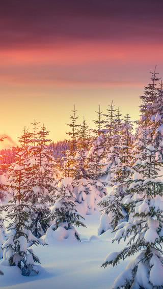 雪山の夕焼け