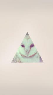 Owl triangle high quality wallpaper