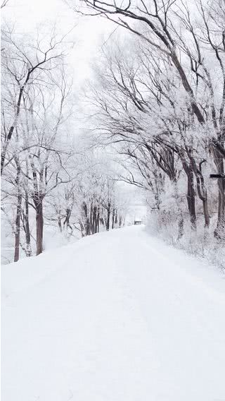 雪道