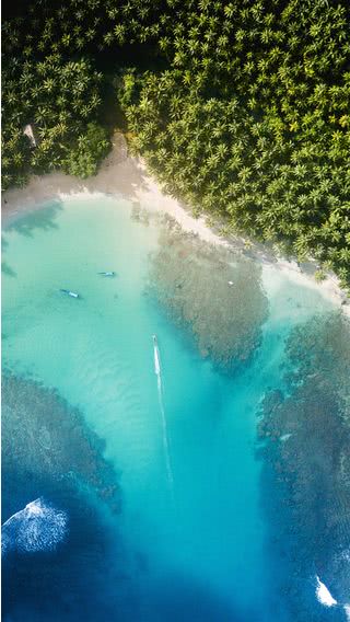 ビーチ - 航空写真