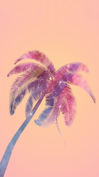 Palm Tree