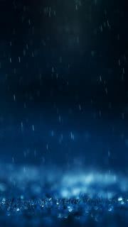 雨の雫