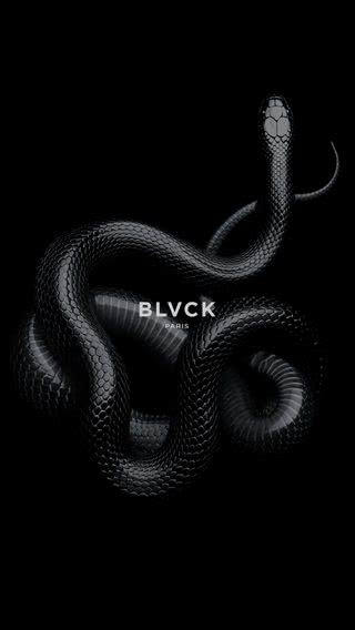 BLVCK PARIS（ブラックパリ）