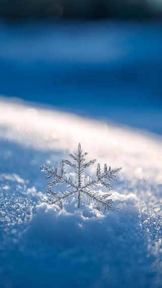 雪の結晶