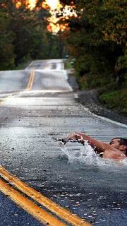 道路を泳ぐ