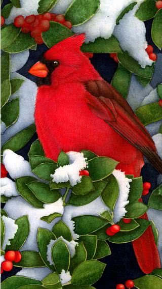 Christmas Cardinal