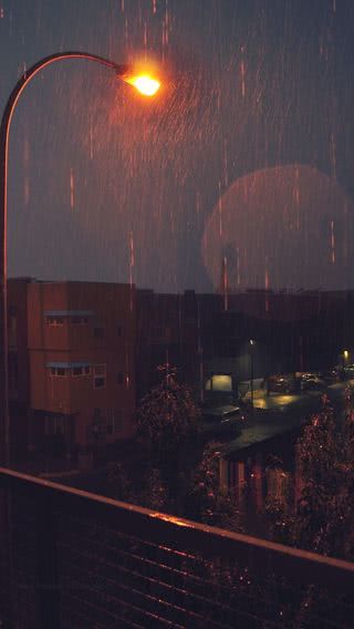 夜の雨