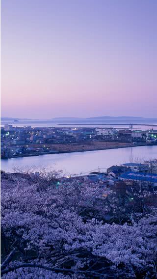 春の風景