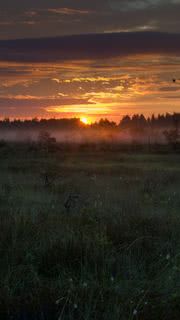 夕焼けのiPhone壁紙