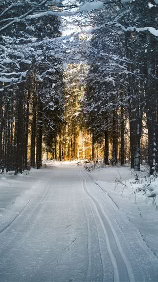 雪道