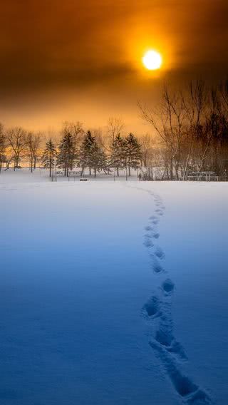 雪原の夕暮れ