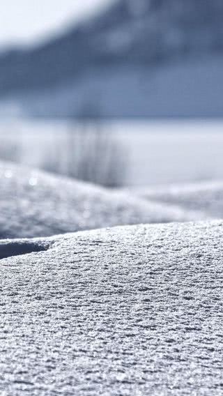 真っ白な雪