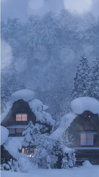 雪景色