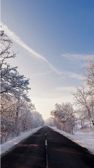 冬の道路