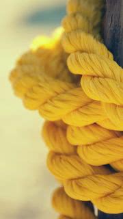 Yellow Rope