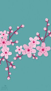 桜 | おしゃれな和風iPhone壁紙