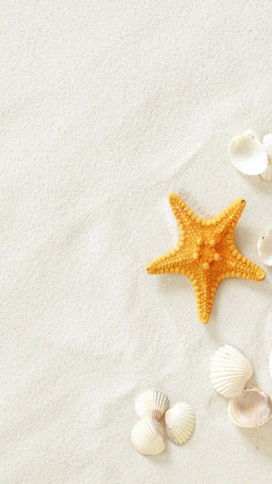 Summer Beach Seashells Sea Stars Iphone11 スマホ壁紙 待受画像ギャラリー