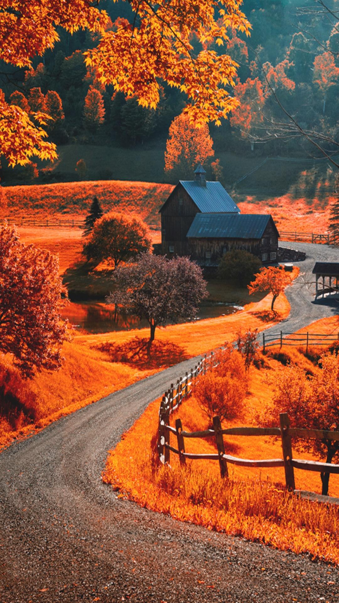 秋の田舎風景 Iphone12 スマホ壁紙 待受画像ギャラリー