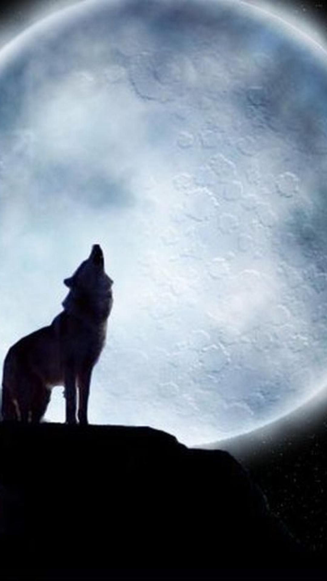 月夜のオオカミ Iphone11 スマホ壁紙 待受画像ギャラリー