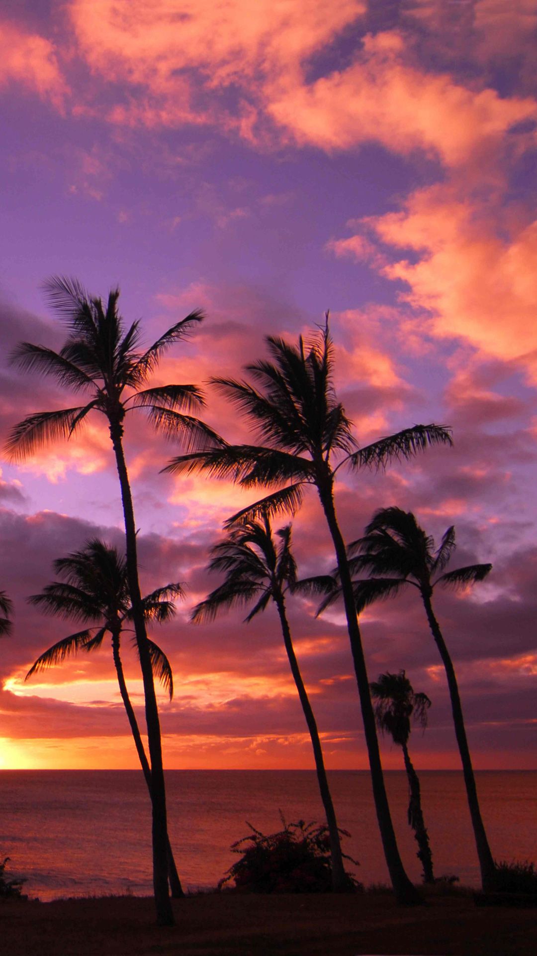 ハワイの夕焼け Iphone11 スマホ壁紙 待受画像ギャラリー