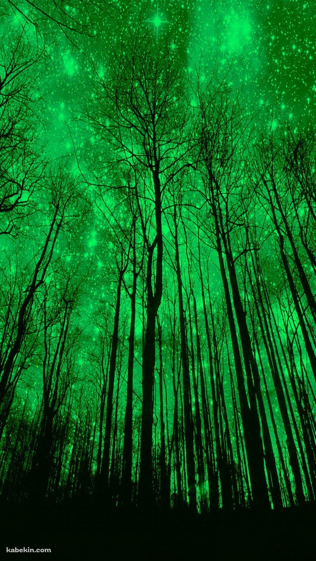緑に輝くの森のiphone壁紙 Iphone11 スマホ壁紙 待受画像ギャラリー