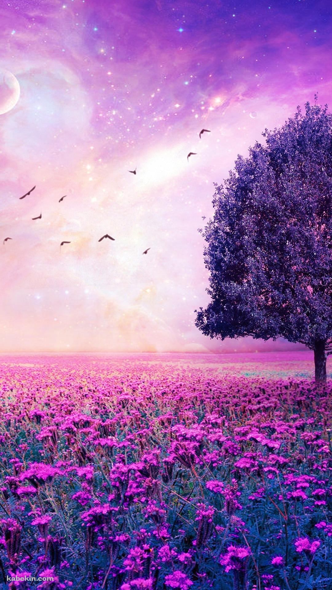 紫色の花畑 Iphone12 スマホ壁紙 待受画像ギャラリー