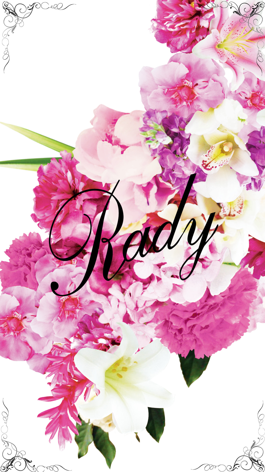 無料ダウンロード Rady 壁紙 Rady 壁紙