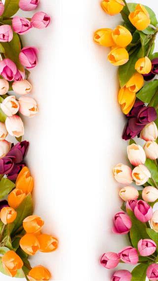 Anna Sui 壁紙 ただ素晴らしい花