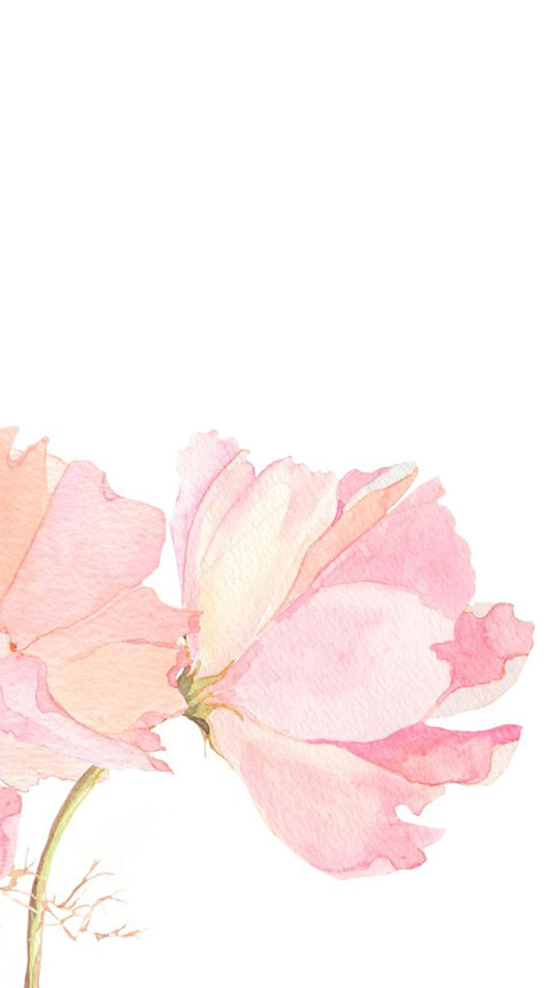 花の水彩画 Iphone11 スマホ壁紙 待受画像ギャラリー