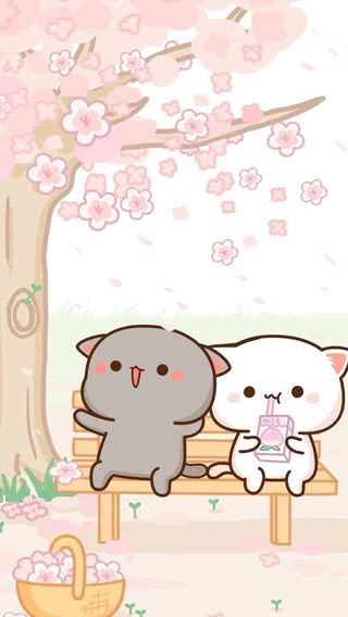 ネコと桜