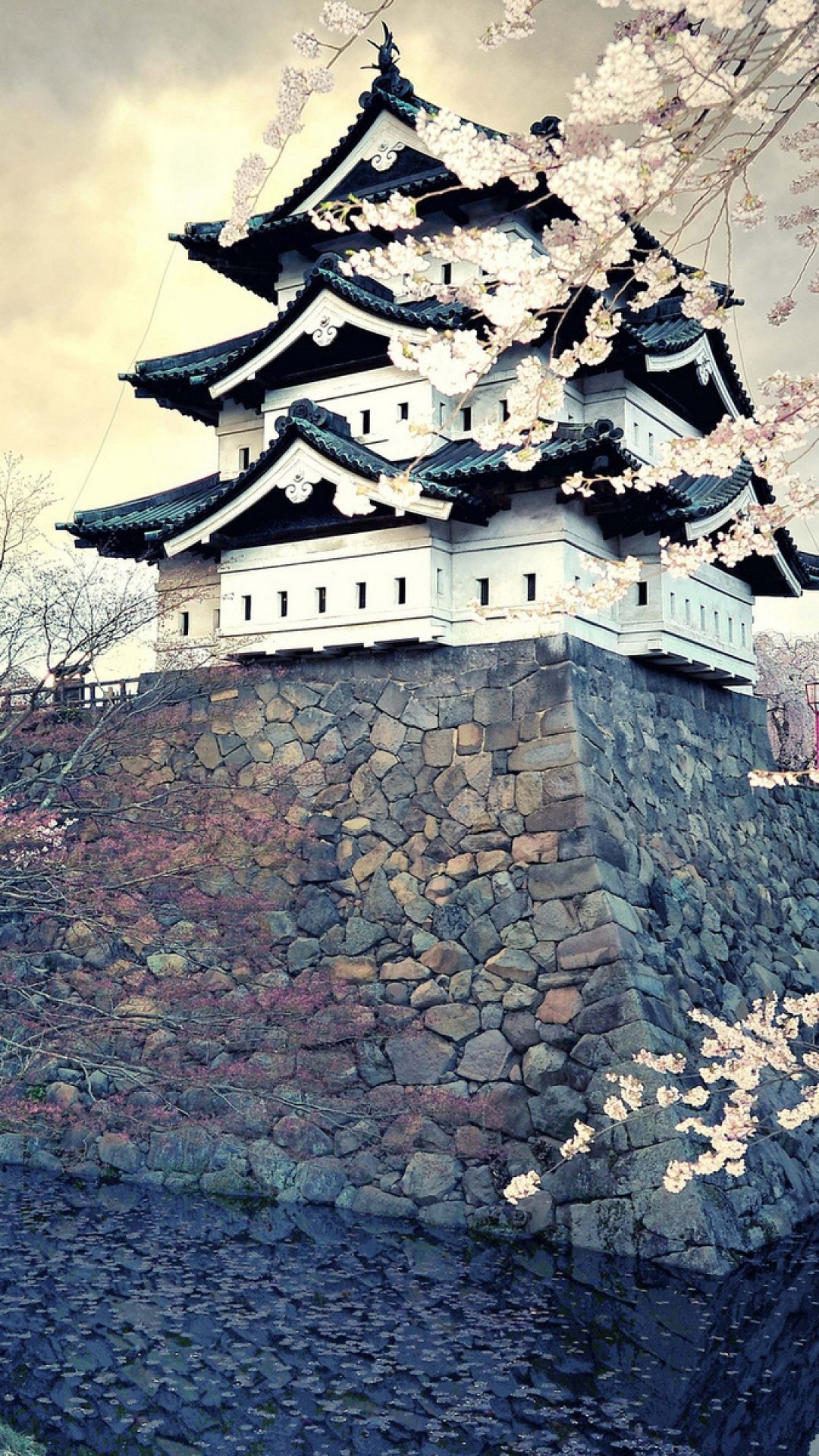 ベスト和風 桜 かっこいい 壁紙 最高の花の画像