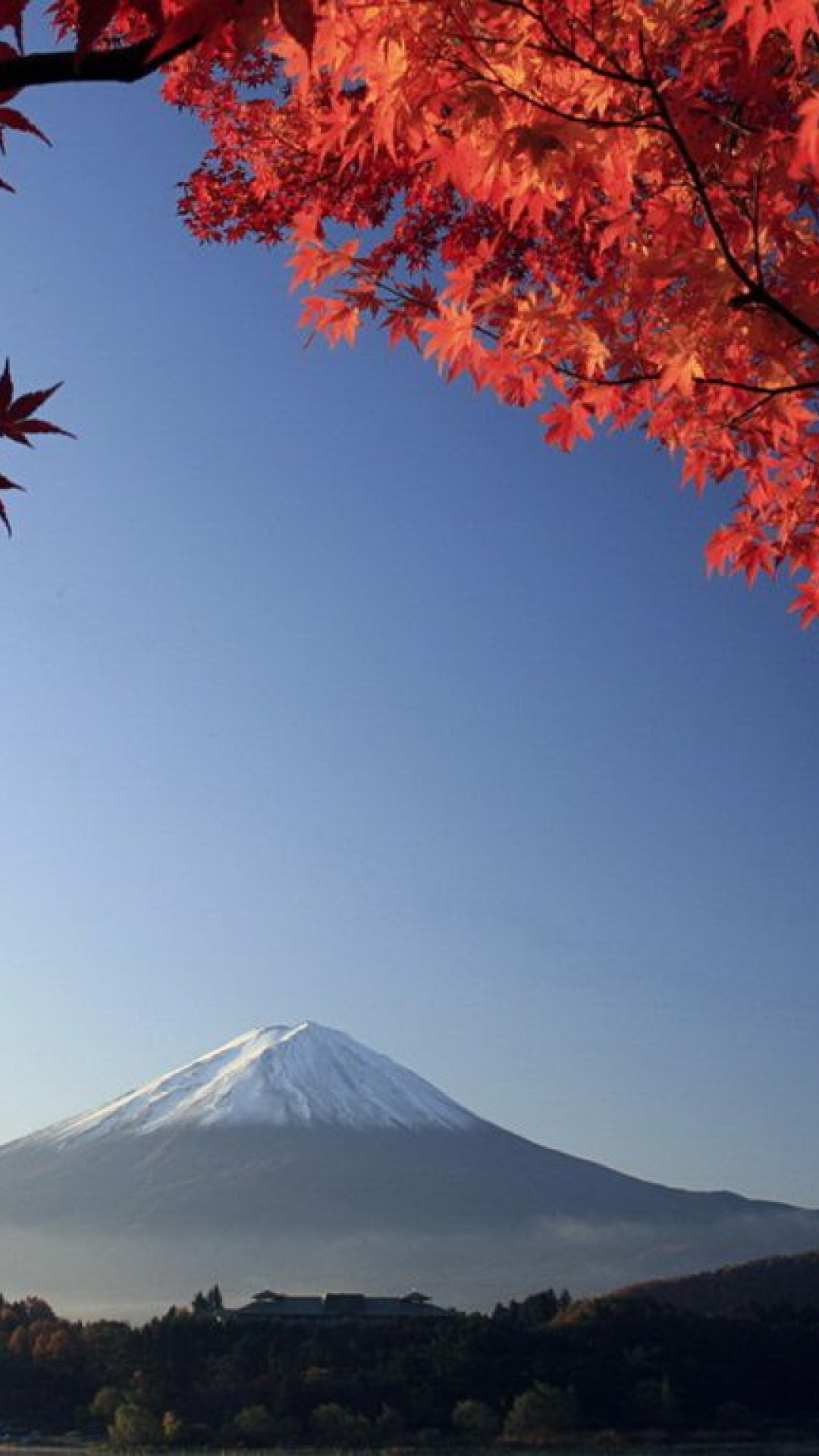 秋の富士山 Iphone12 スマホ壁紙 待受画像ギャラリー