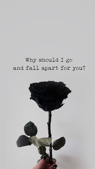 黒い薔薇 - Why should I go and fall apart for you?