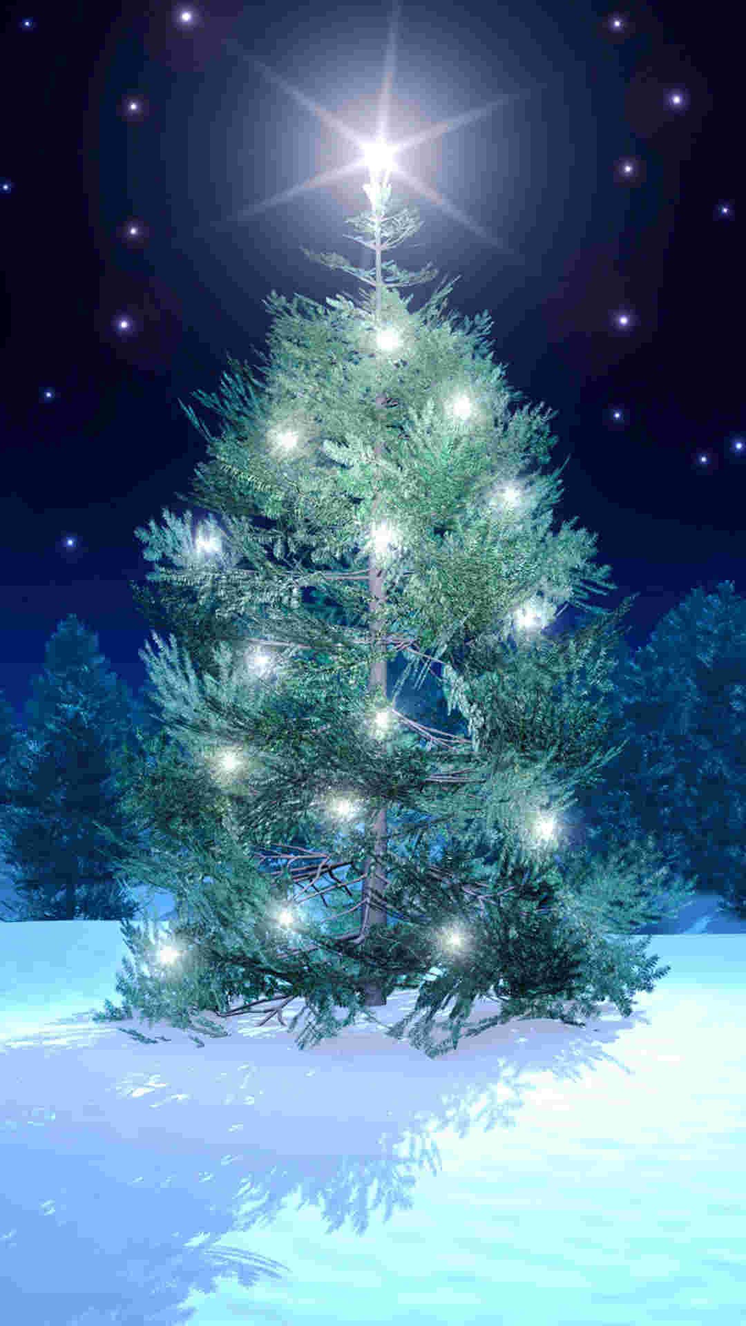 星の輝くクリスマスツリー Iphone11 スマホ壁紙 待受画像ギャラリー