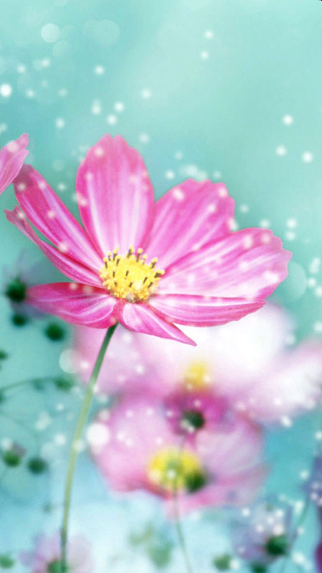 かわいい花のイラスト Iphone11 スマホ壁紙 待受画像ギャラリー