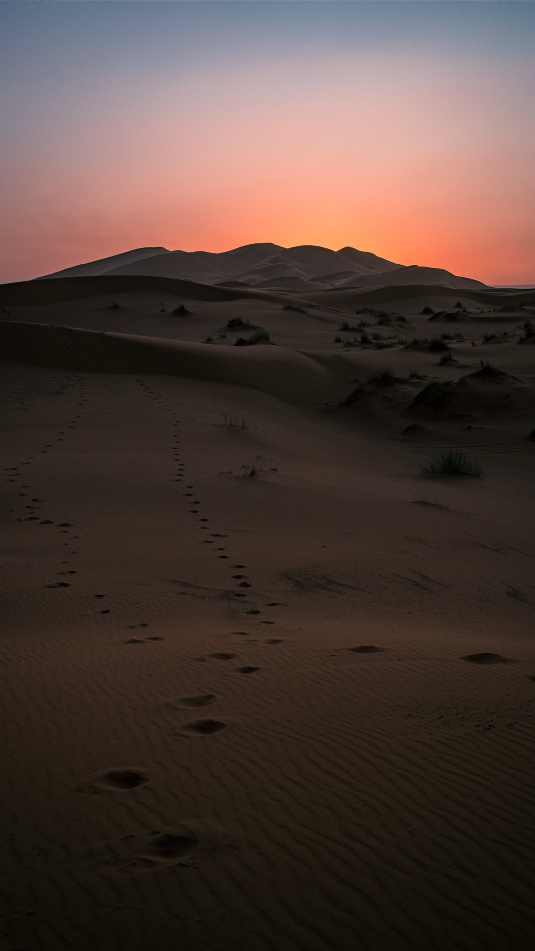 黄昏時の砂漠 Iphone11 スマホ壁紙 待受画像ギャラリー