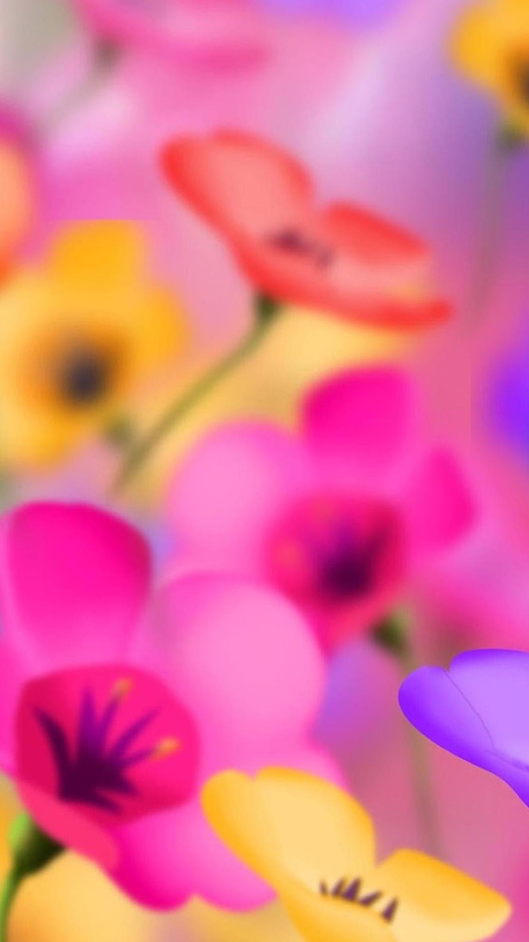 カラフルな花々 Iphone11 スマホ壁紙 待受画像ギャラリー
