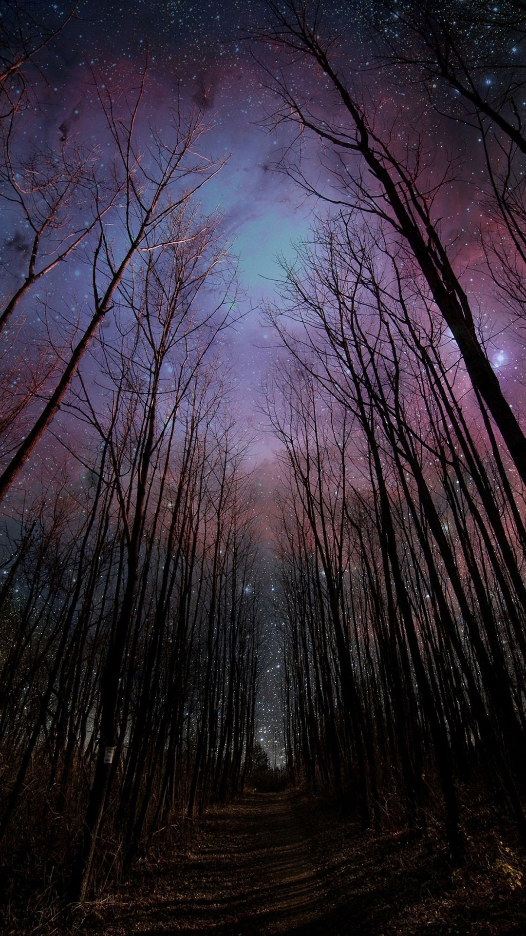 幻想的な星空の森 Iphone11 スマホ壁紙 待受画像ギャラリー