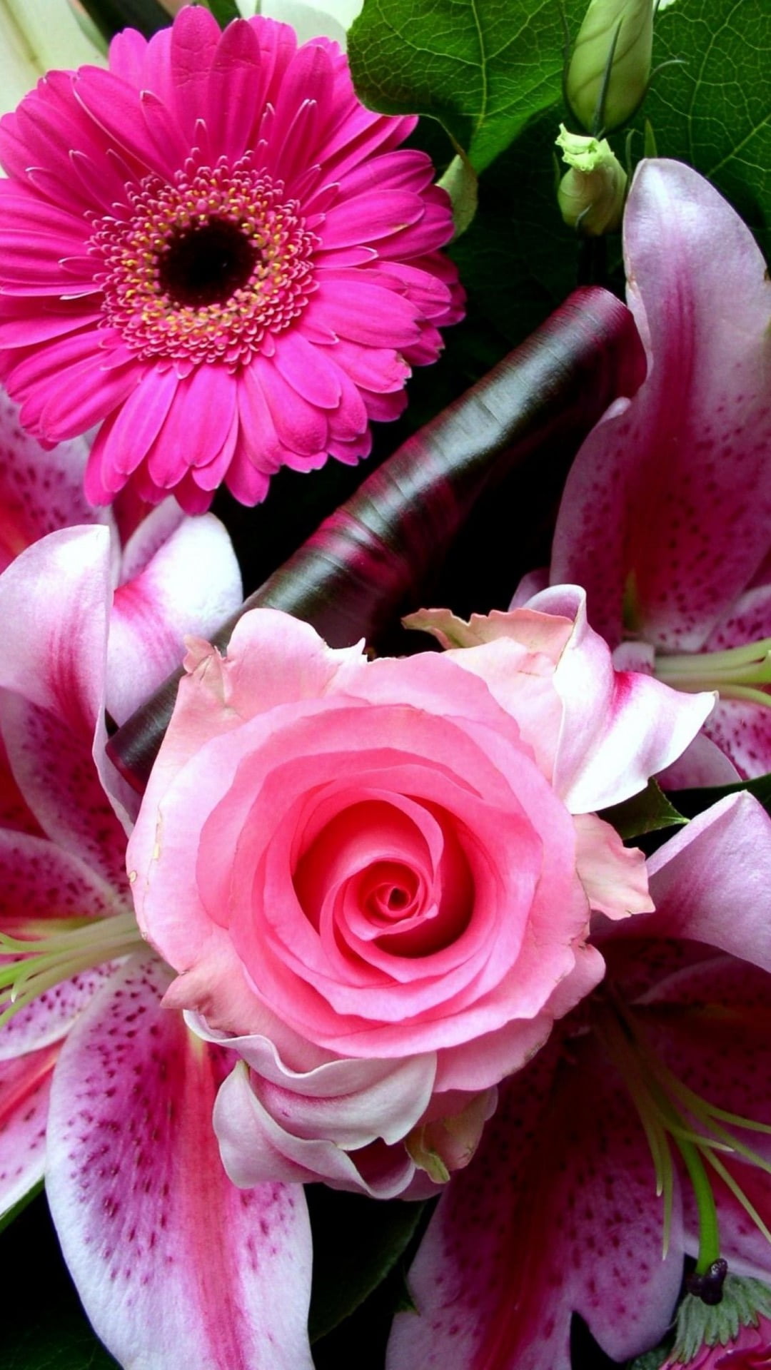 ピンク色の花 Iphone11 スマホ壁紙 待受画像ギャラリー