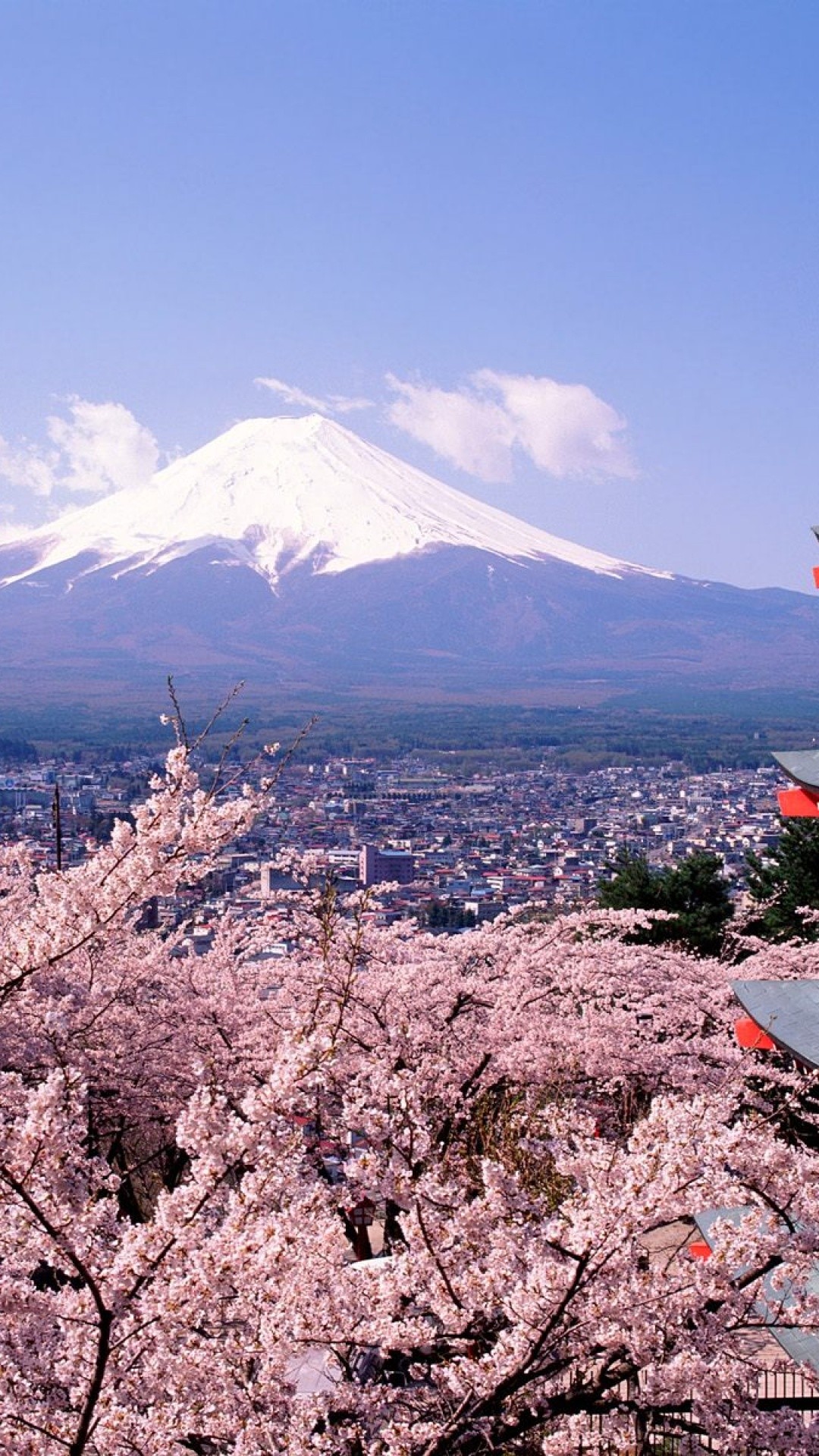 富士山と桜 Iphone11 スマホ壁紙 待受画像ギャラリー